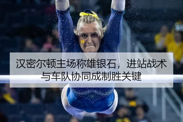 汉密尔顿主场称雄银石，进站战术与车队协同成制胜关键